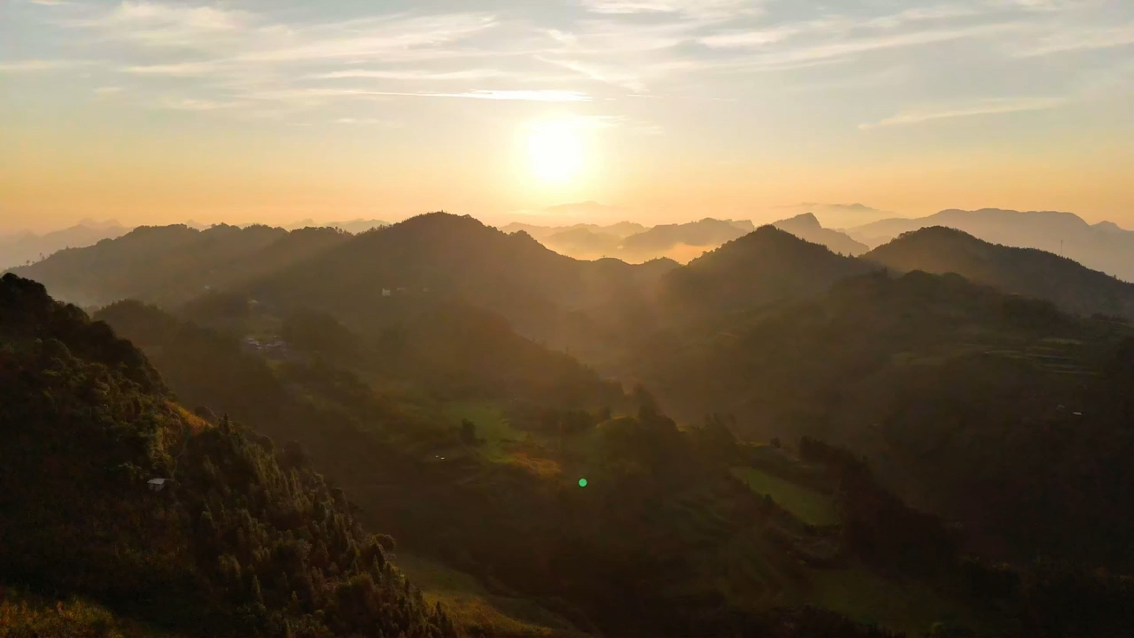 Run Free Again
