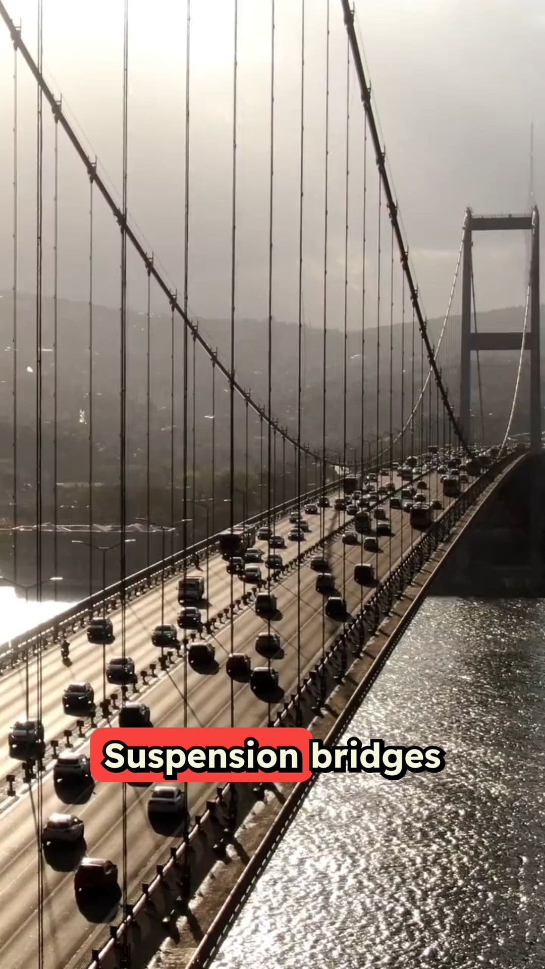 The Engineering of Suspension Bridges