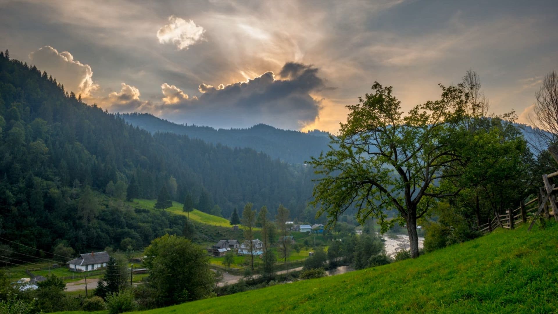 83 God Most High, Our Battle Cry