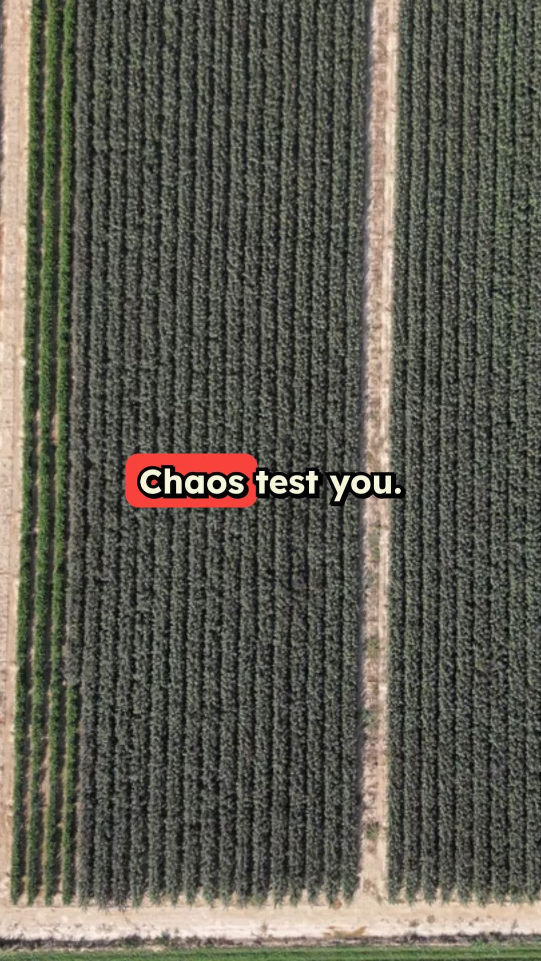 91 - Embracing Chaos and Trust