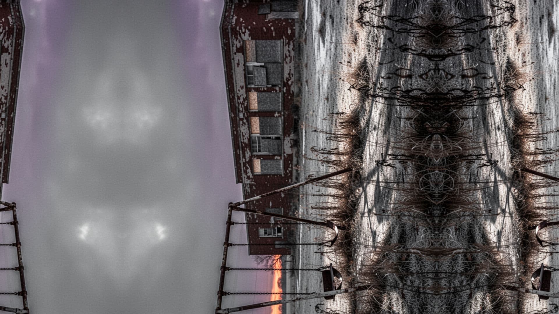 Michigan Schools: Literacy Crisis and Culture Wars