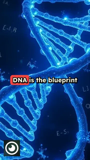 PDF to Video Converter for Education