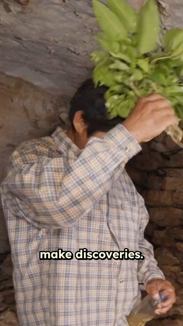 Discovering Mayan Secrets