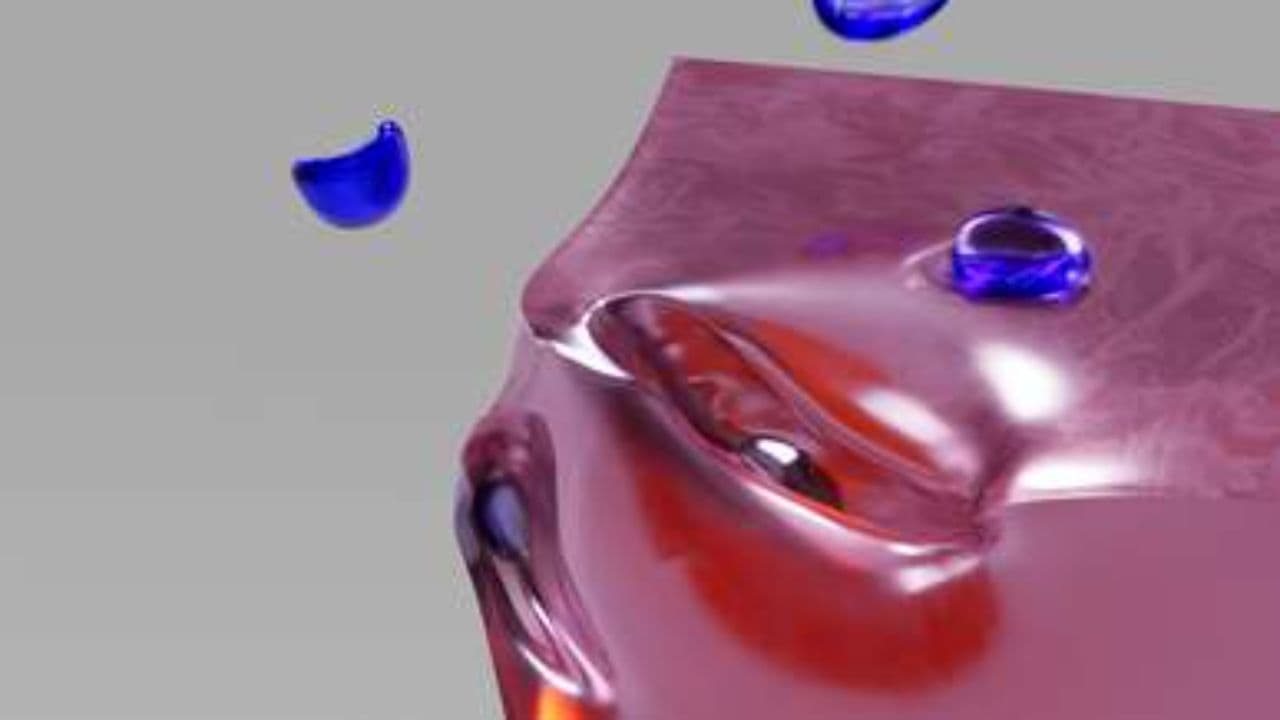 Phil Davis: From Finance to AI Innovation