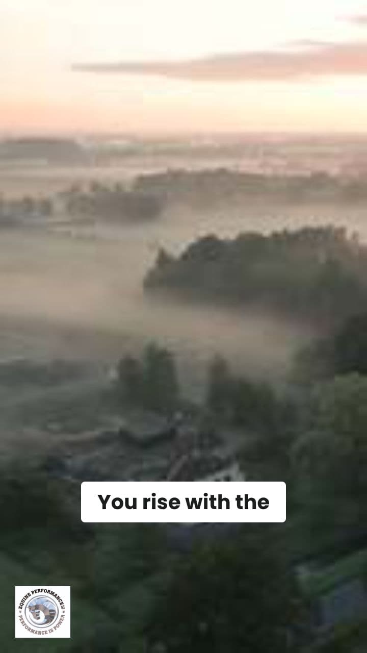 Bee Kind: Care for Riders' Hands