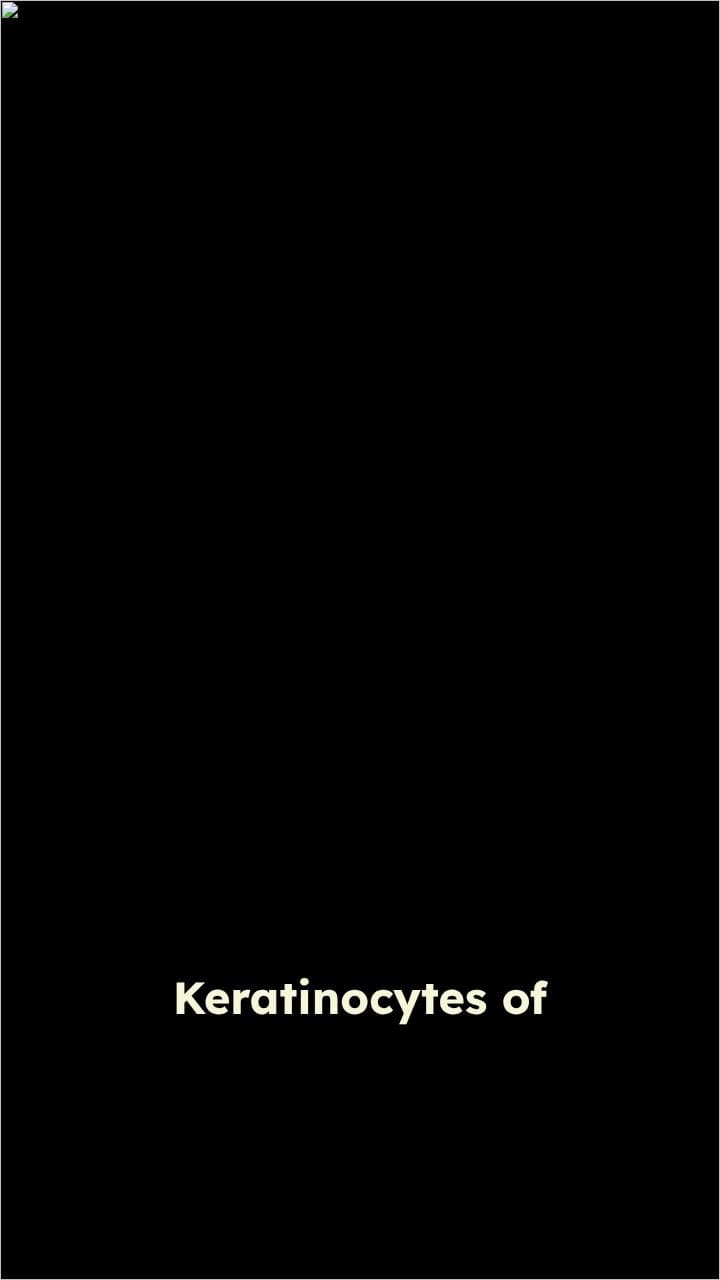 Skin Immune Response Mechanisms