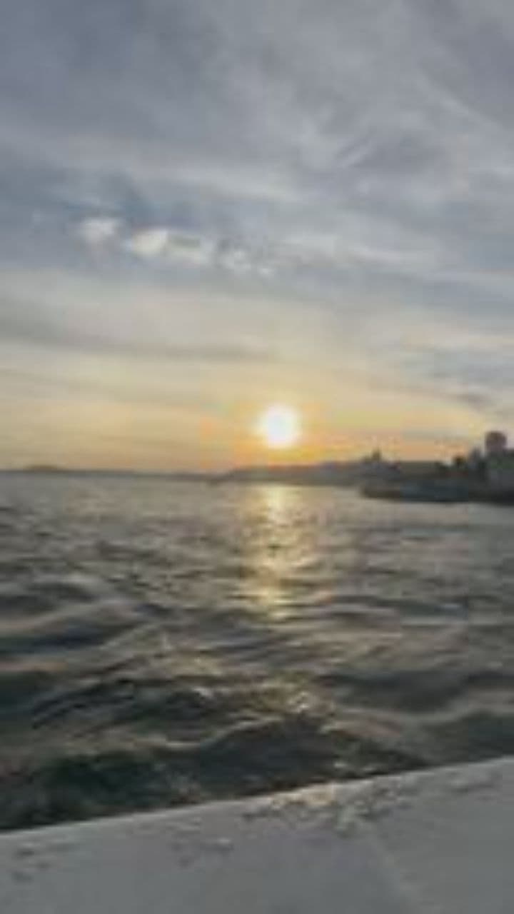 Twilight's Gentle Hush