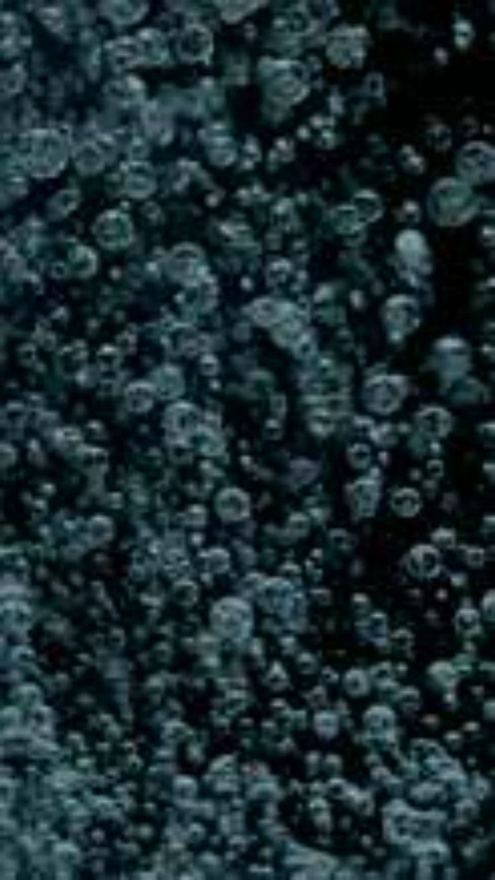 Chariot Wheels Beneath the Red Sea