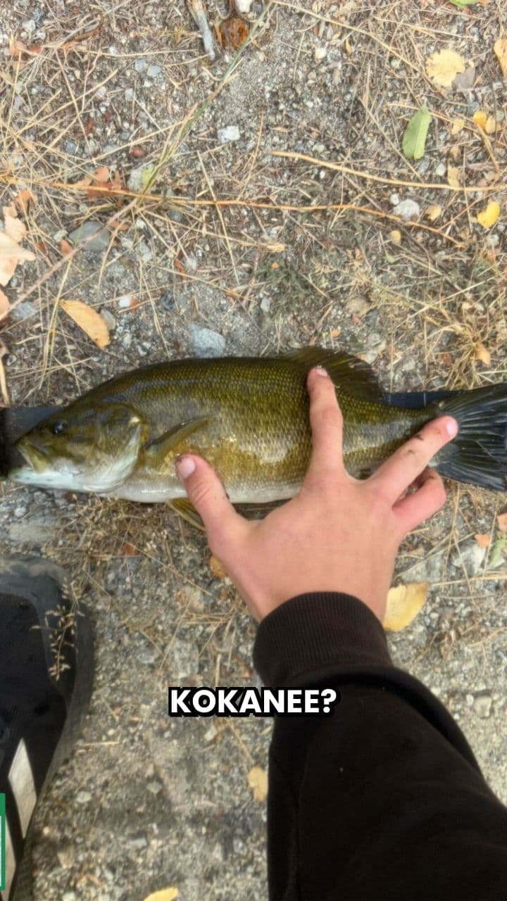 Fishing Tournament Hype Reel