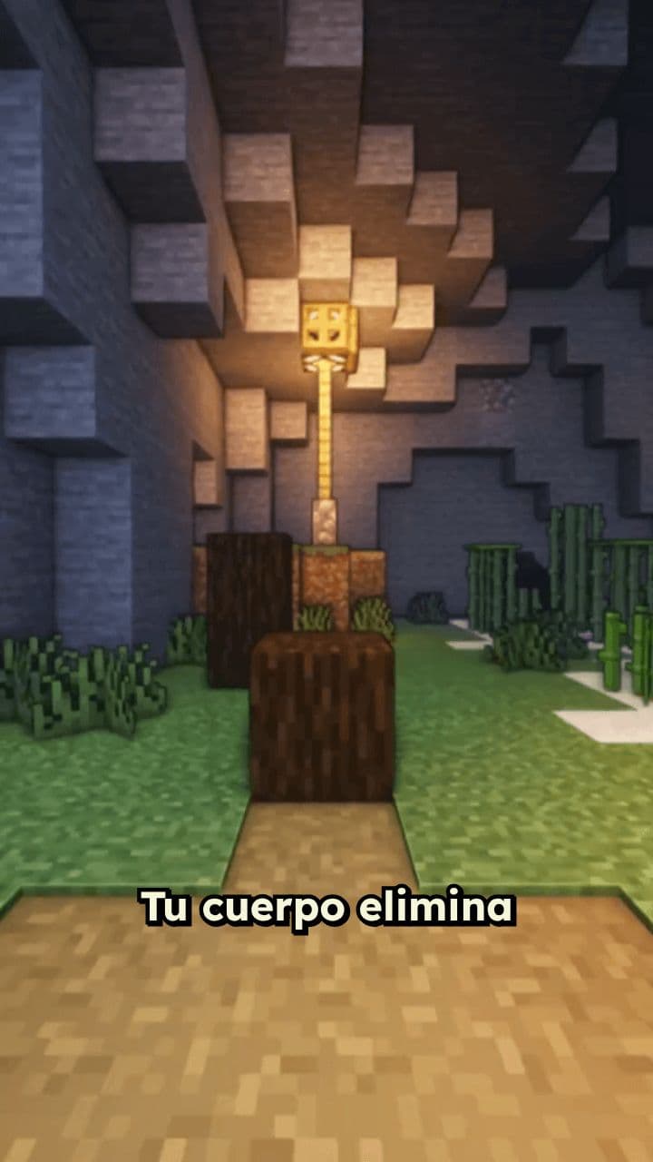 Peligros del BHT en productos cotidianos