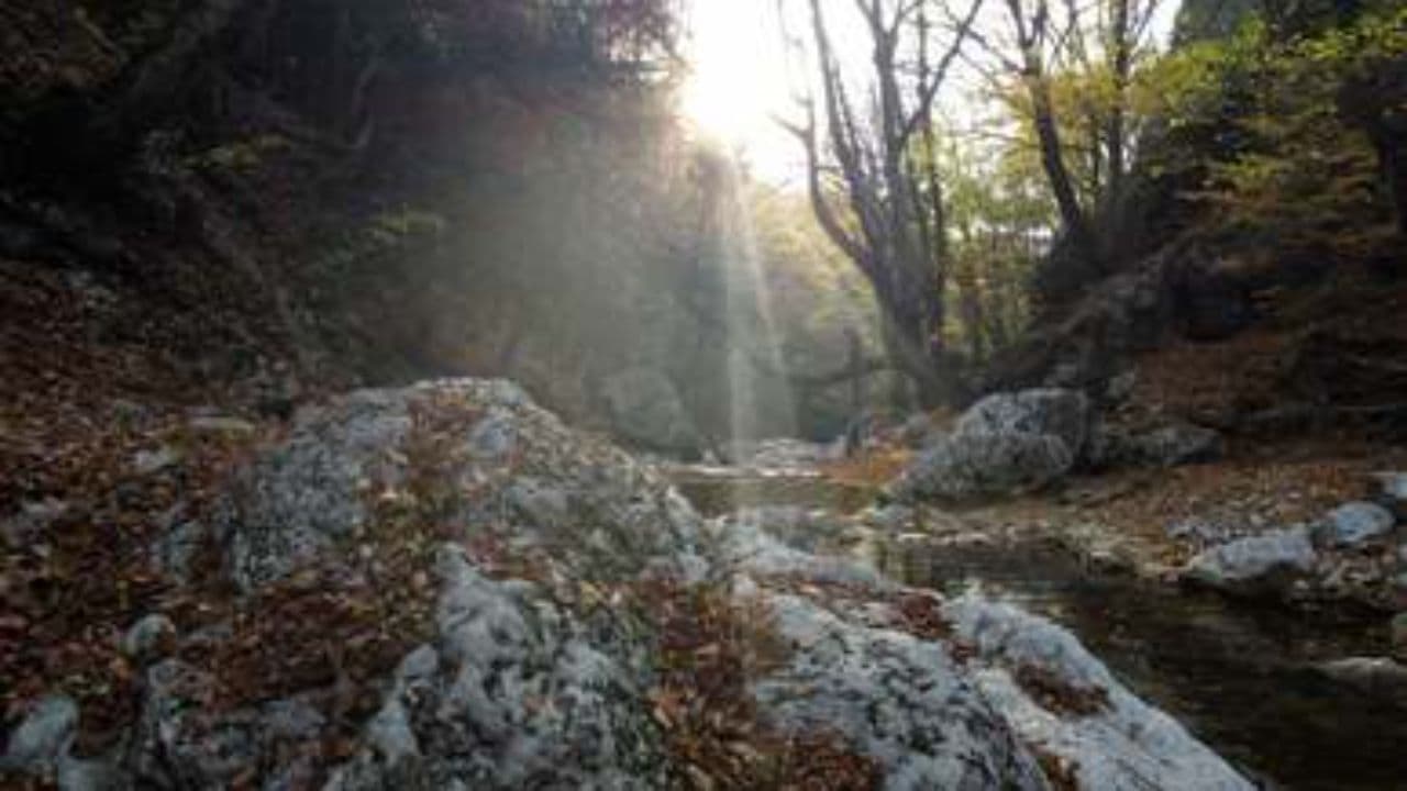 Spirit, Lead My Heart