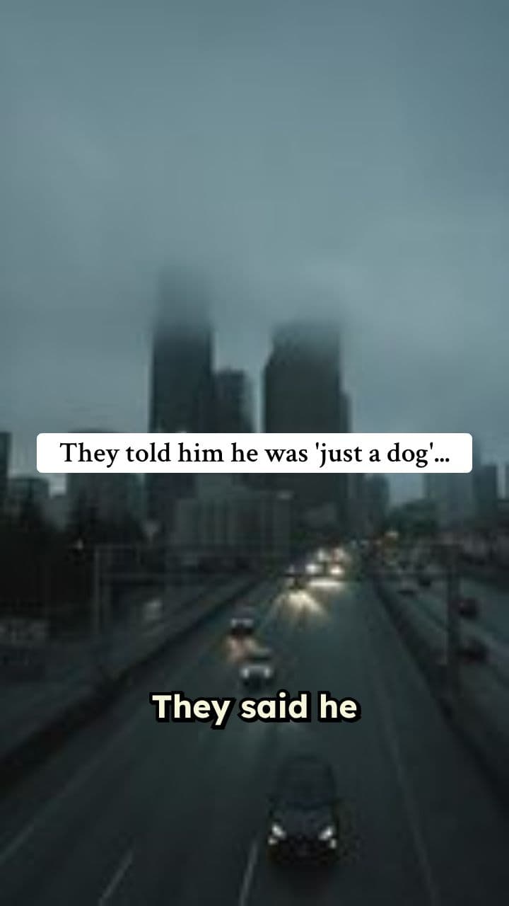 The Hero Dog