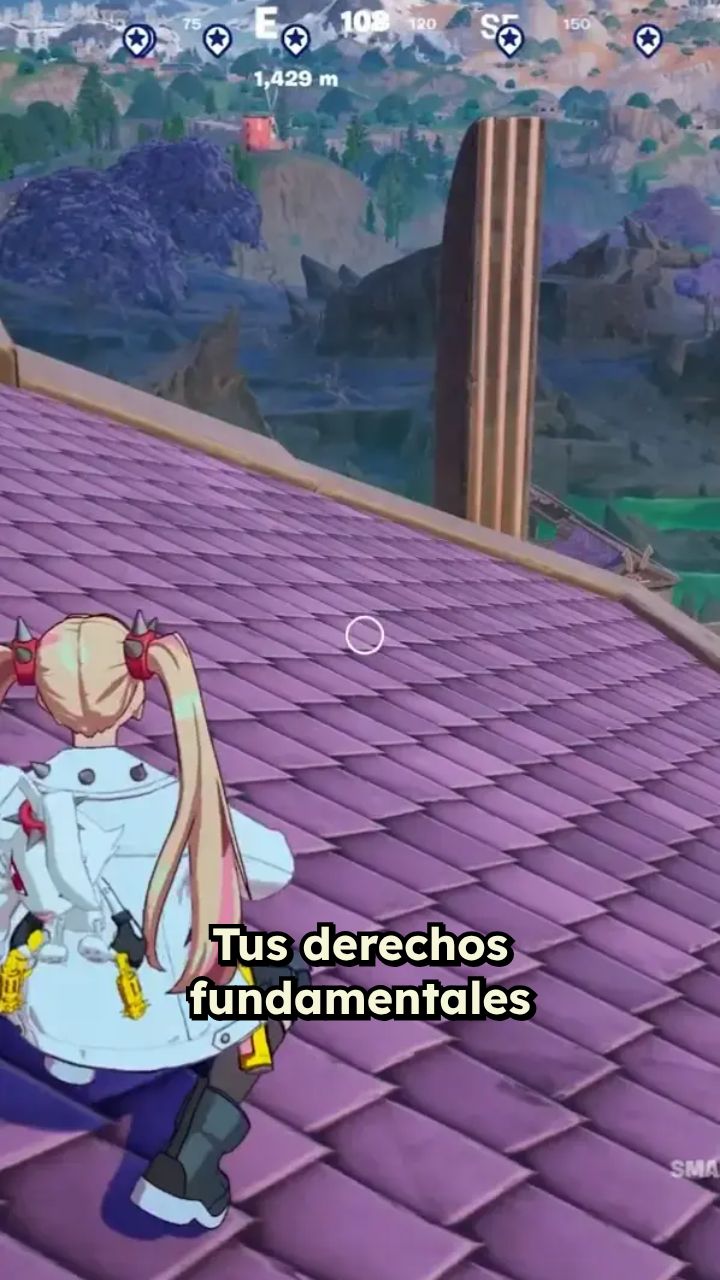 Derechos Fundamentales y Responsabilidad Compartida