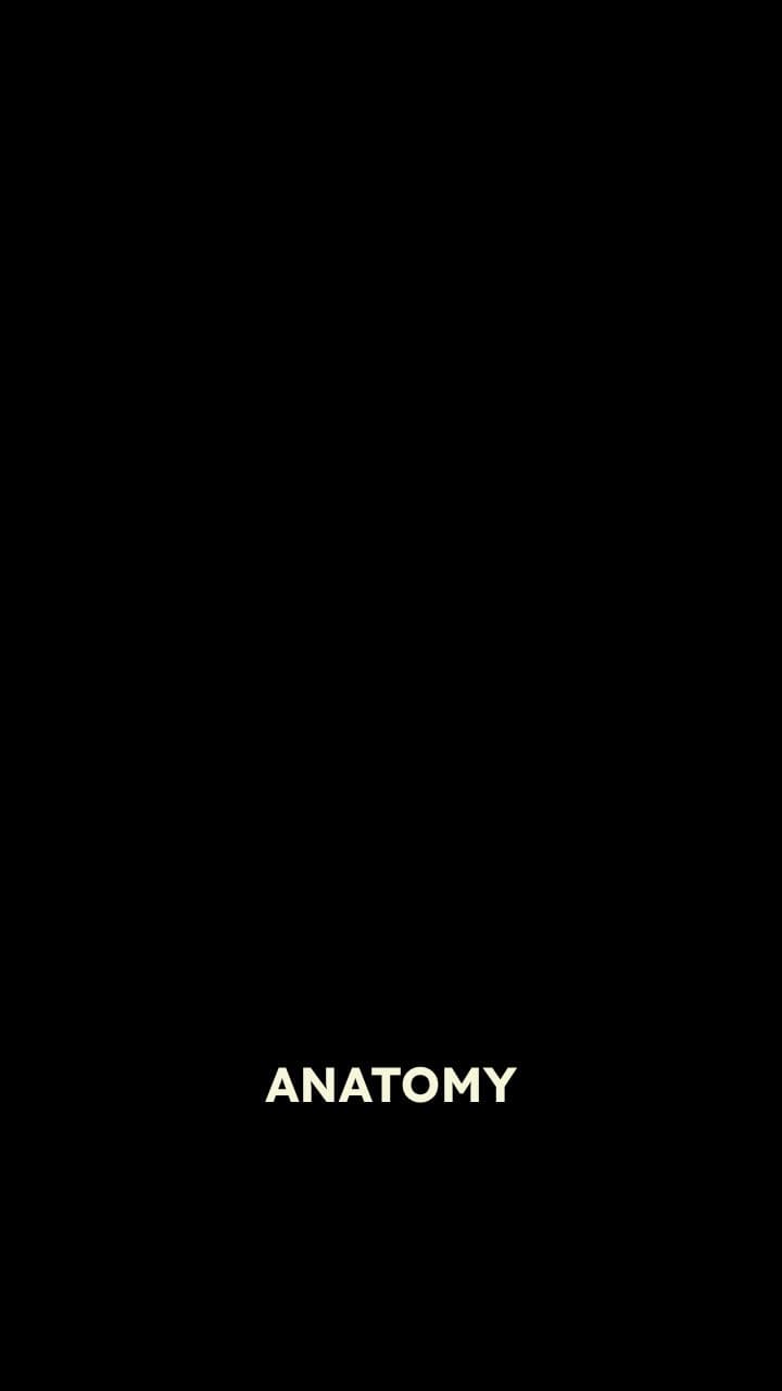 ANATOMY