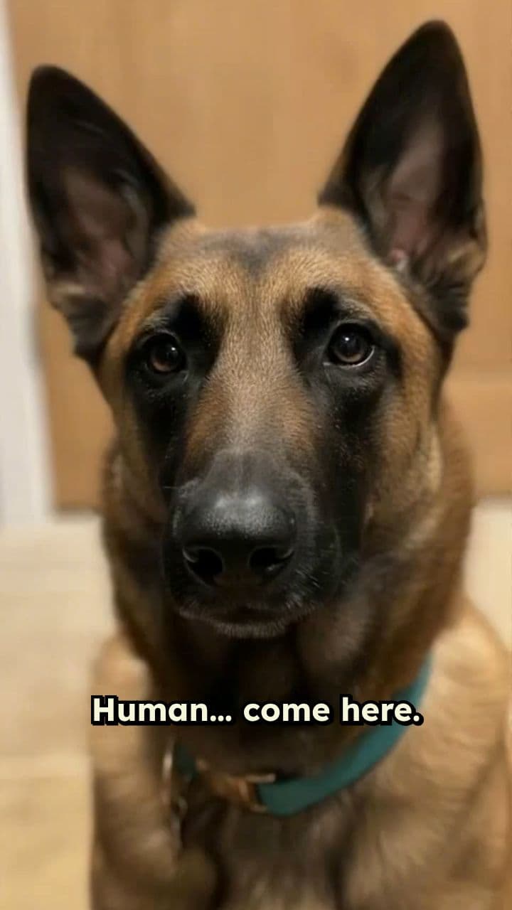 Prayer for Healing and Comfort