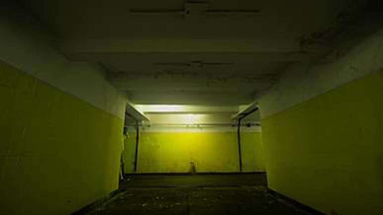 PER UN PO' ANCORA (spero di stare con te) Youtube version. Lister Carol 2025