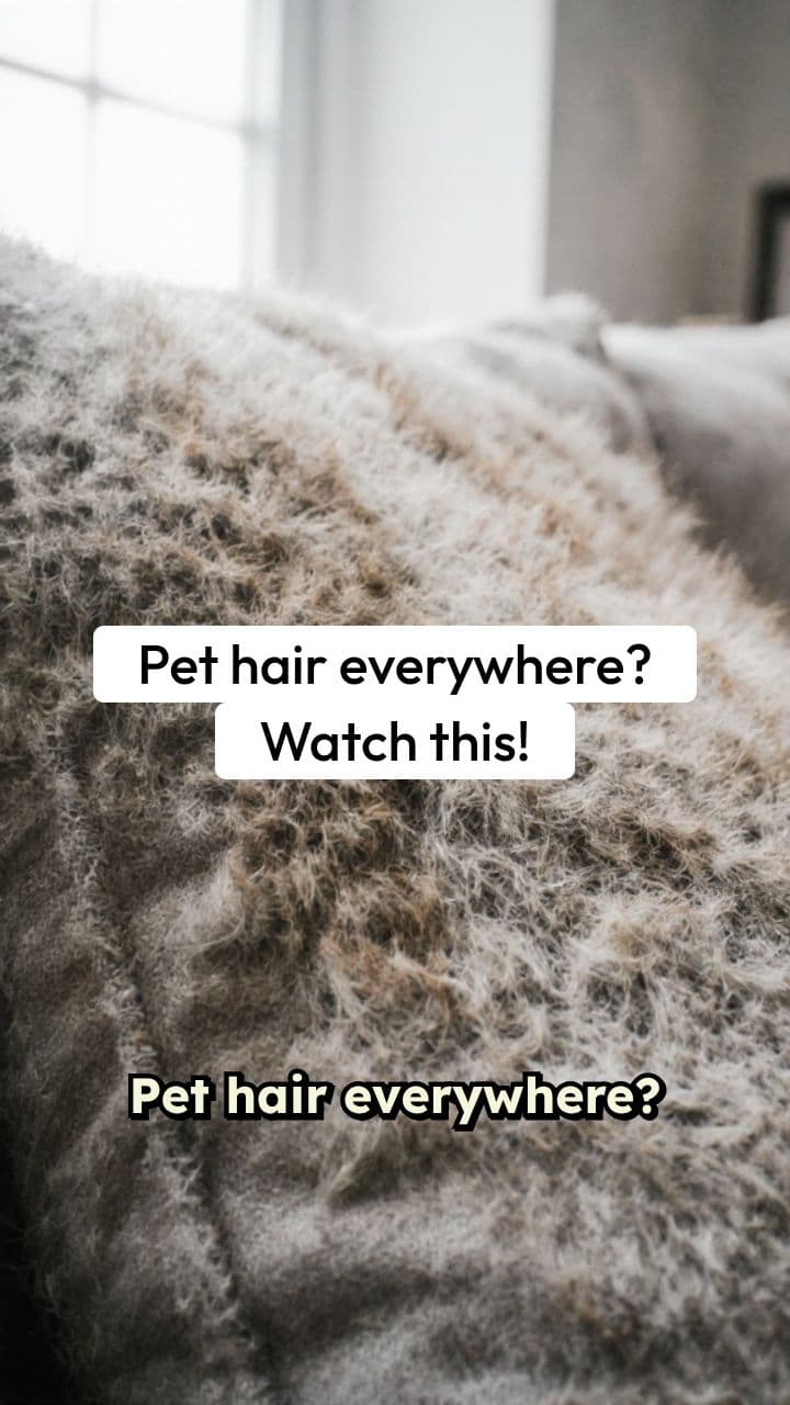 Pet Hair Remover Roller UGC Ad