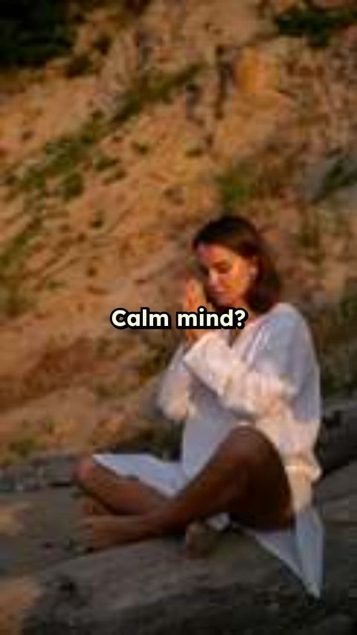 55 - Speed vs. Stillness