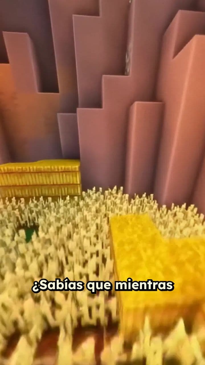 Cultura Valdivia: cuna del arte americano