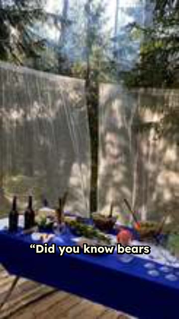 Incredible Bear Facts You Didn't Know