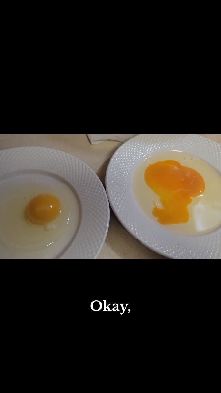 Taste-Testing a Six-Month-Old Egg