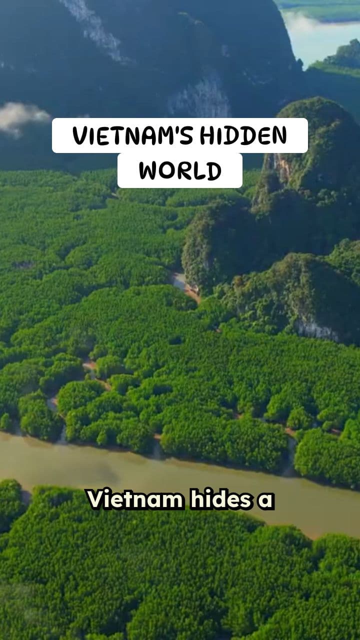 Vietnam's Hidden Wonders: Hang Son Doong Cave