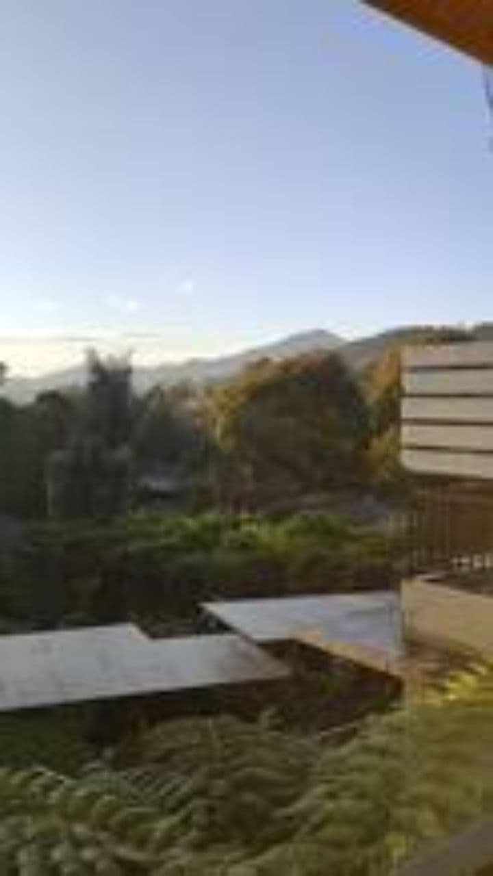 Vœux simples pour demain