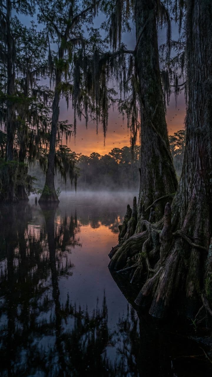 Guitars and Gunshots