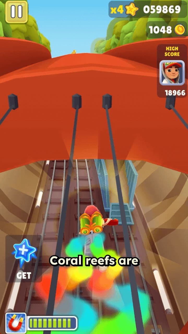 Coral Reefs: A Crisis Unfolding