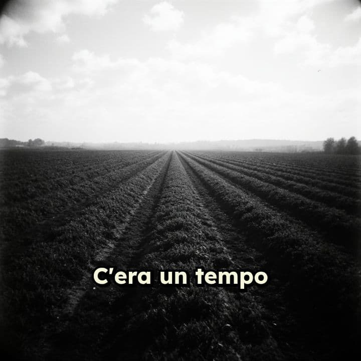 50 ANNI DI PROTEZIONE