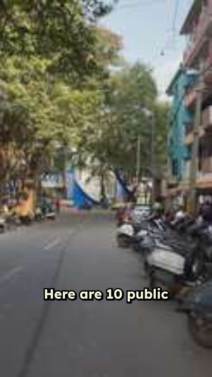 Fascinating Public Transport Facts