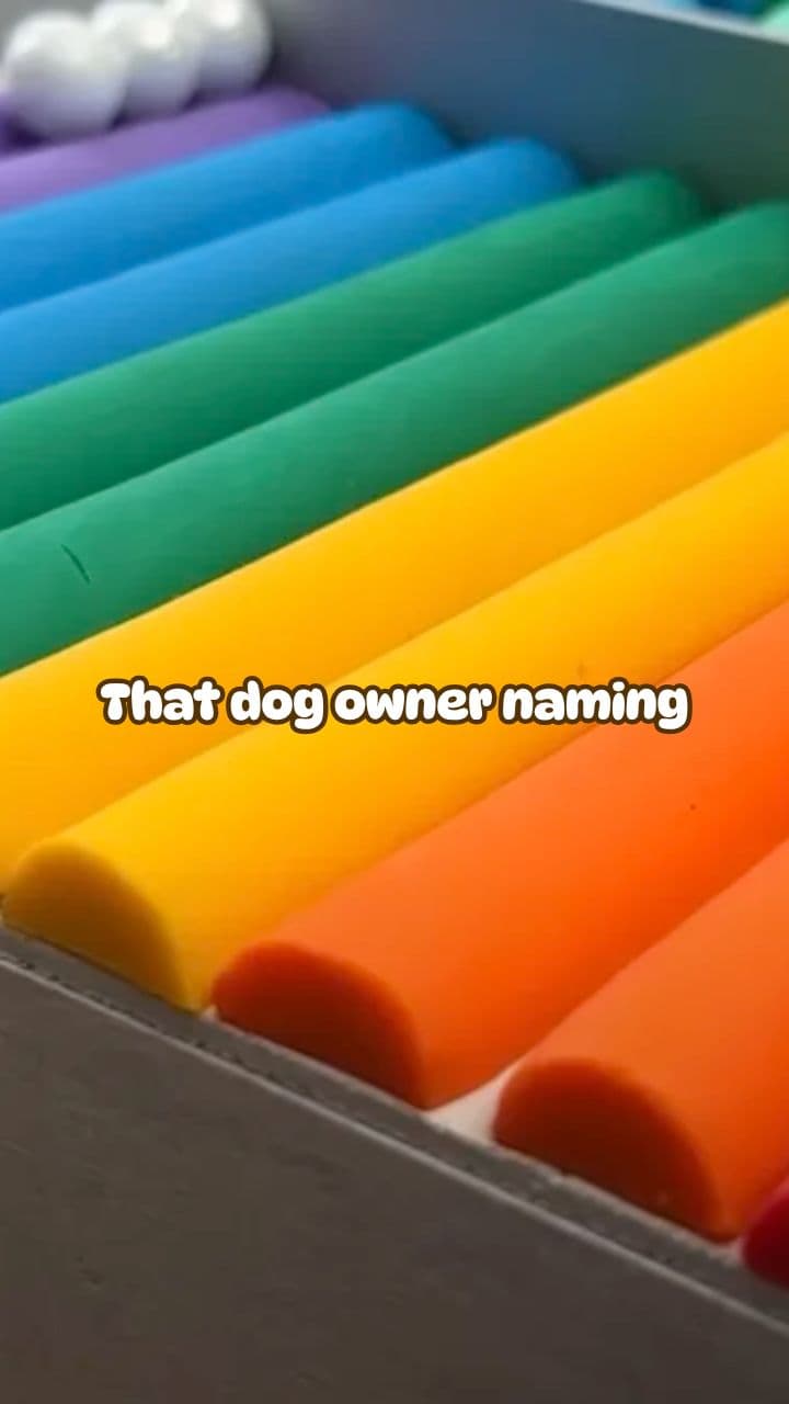 Cupcake the Demon Dog