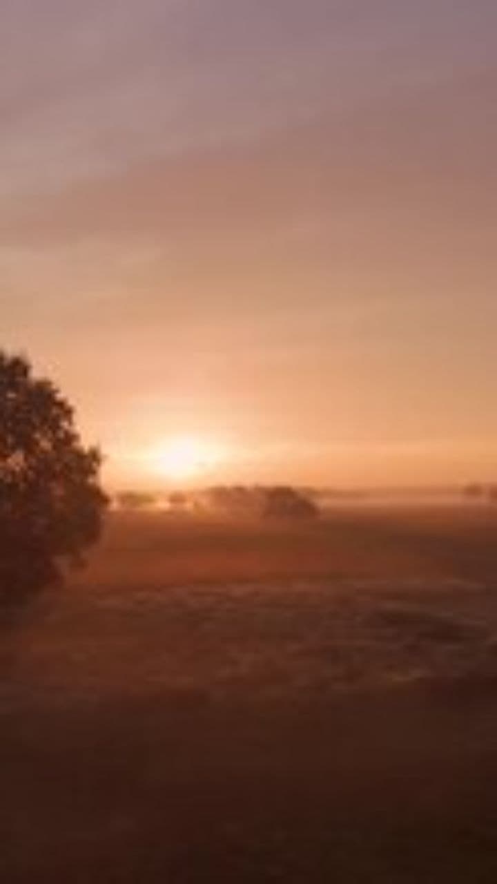 Burnished Gold