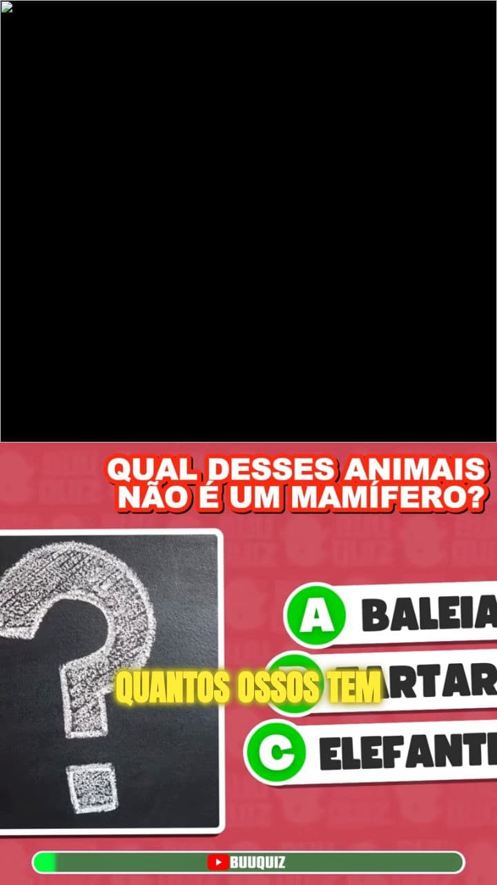 Você Sabia que Tubarões Não Têm Ossos?