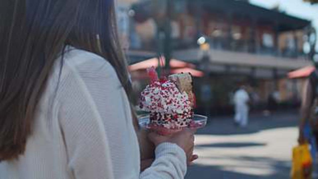 Taste the Palm Beaches