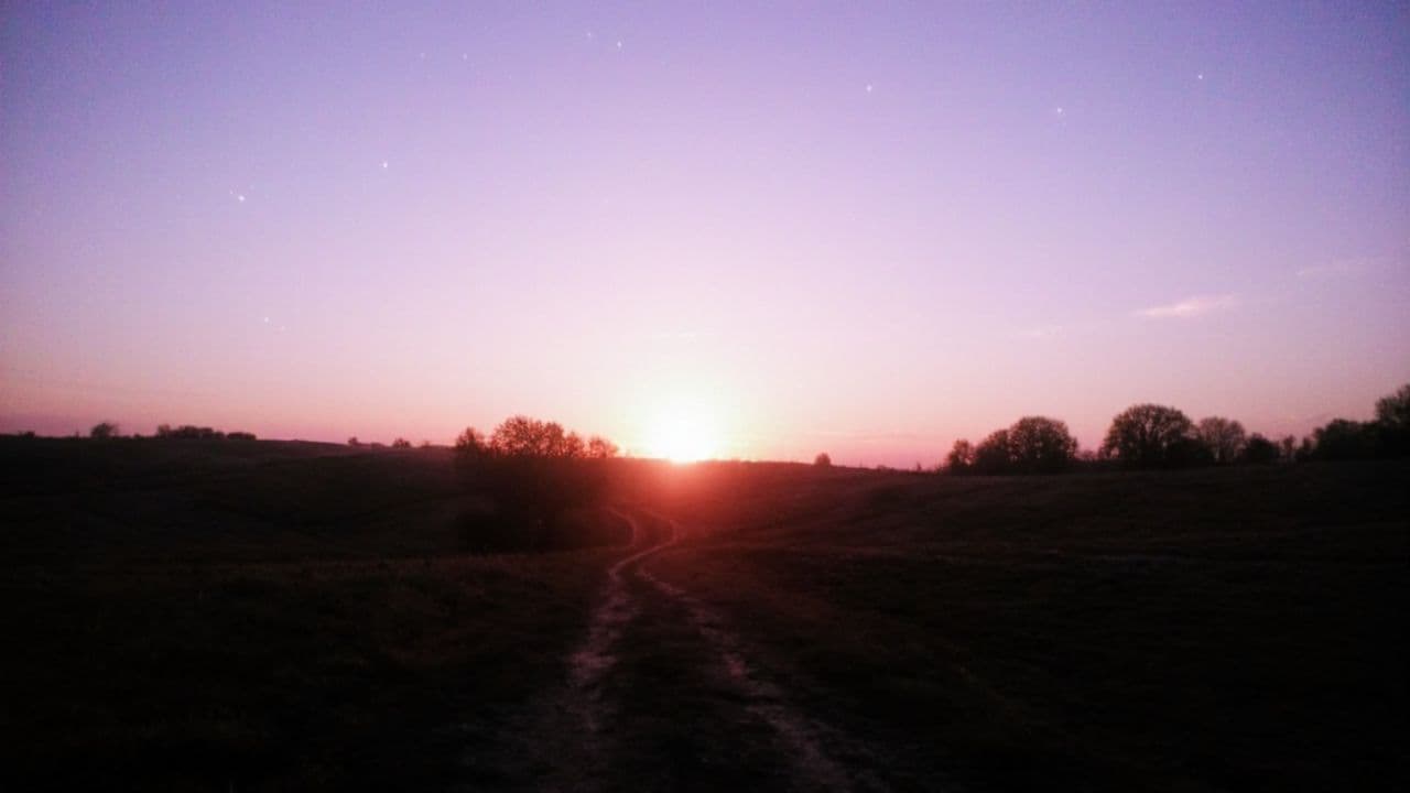 Summer Night's Bliss