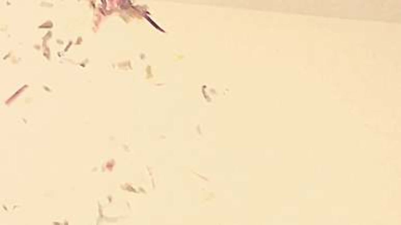 Stefan, unser Fußballheld!