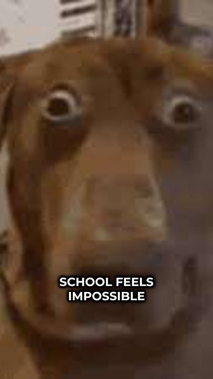 School Feels Like Survival