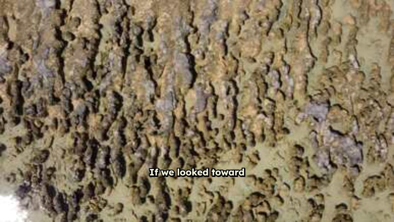 The Cosmic Journey of Existence