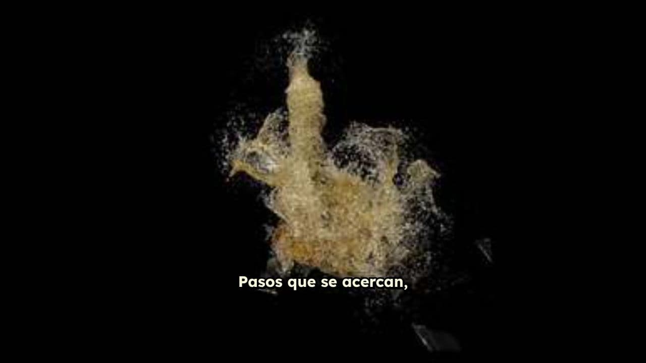 Lo Que No Ves Te Puede Vencer