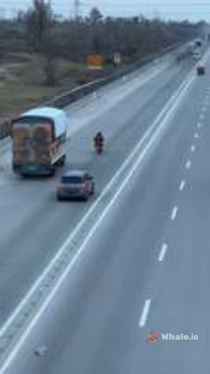 Livin' in the Bus Lane