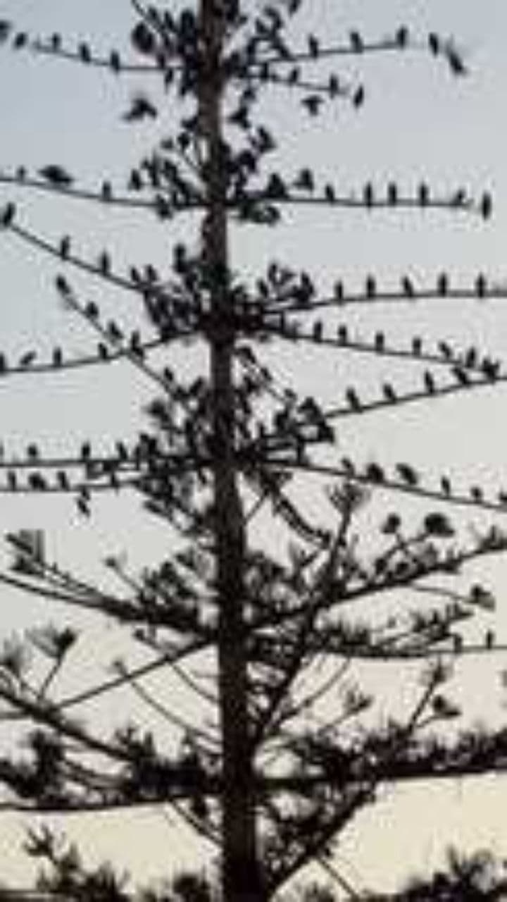 Hiding Under My Skin